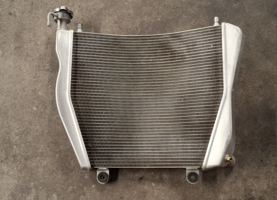 Radiator Ducati Panigale V4 R