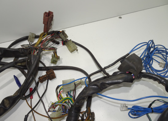 Kabelboom Aprilia Caponord 1000