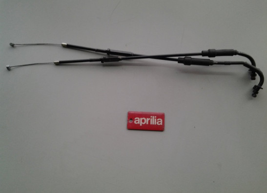 Auspuff Aprilia RSV 4