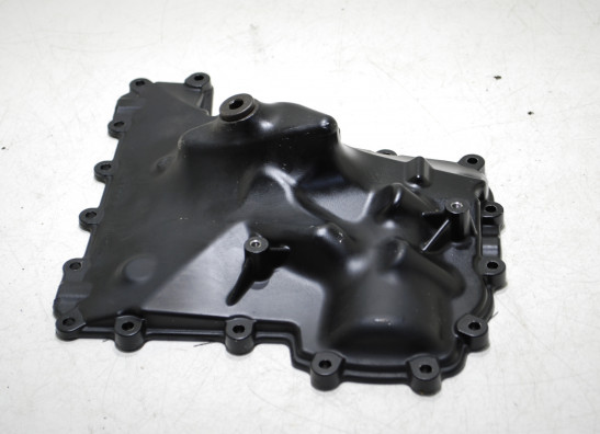 Carterpan BMW K 1200 R 