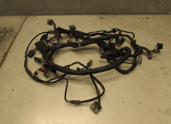 Kabelbaum Yamaha FJ 1200