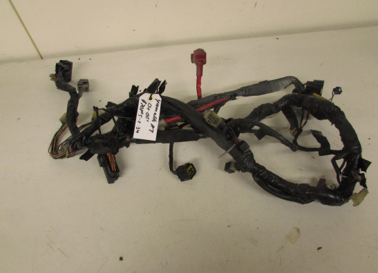 Wire Harness Yamaha YZF R1
