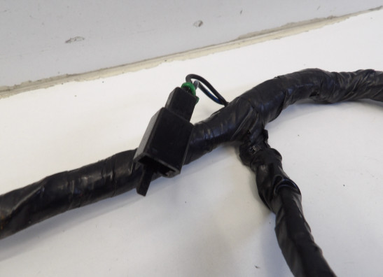 Wire Harness Yamaha V max