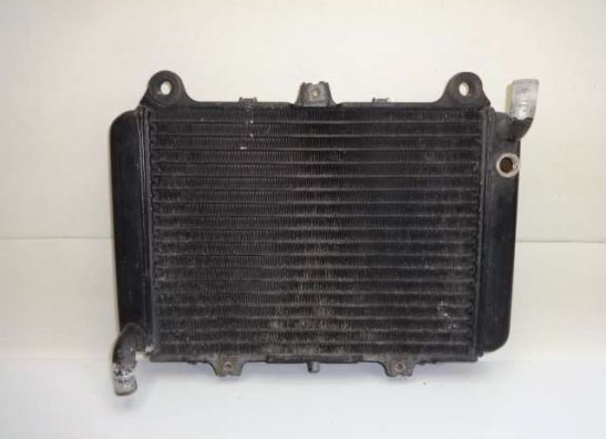 Kuhler Kawasaki GPX 600