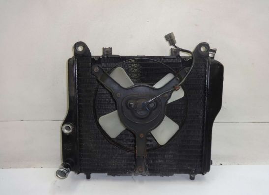 Kuhler Kawasaki GTR 1000