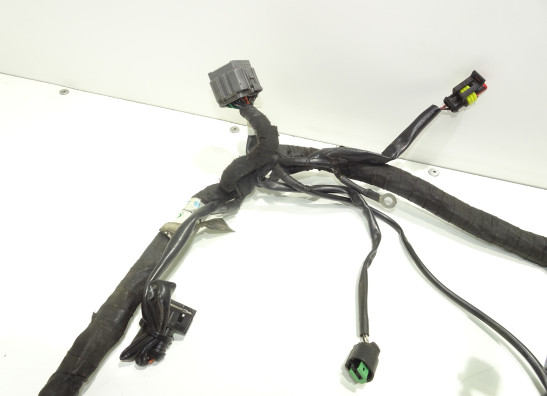 Kabelbaum KTM 1290 Super duke