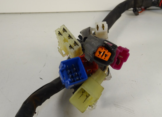 Kabelbaum Yamaha FAZER 600