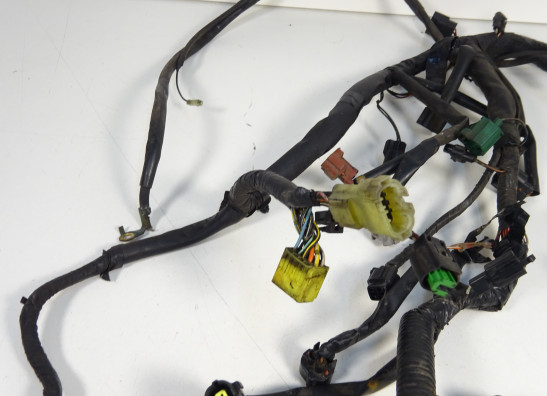 Kabelboom Suzuki DL 650 V STROM