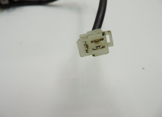 Dynamo Kawasaki ZEPHYR 750