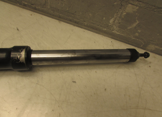 Standrohr Gabelholm links komplett BMW R 850 R