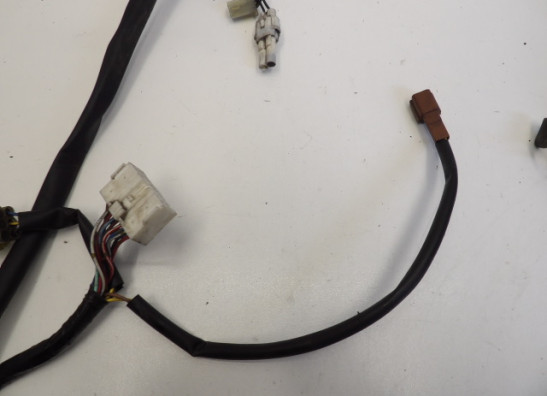 Kabelboom Yamaha FJR 1300