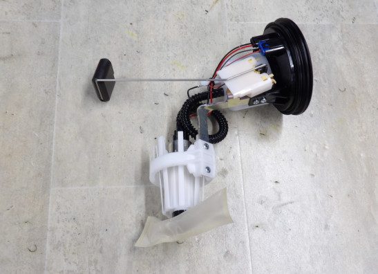 Brandstofpomp BMW R 1250 R