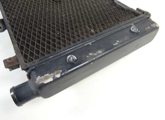 Radiator Yamaha FAZER 1000