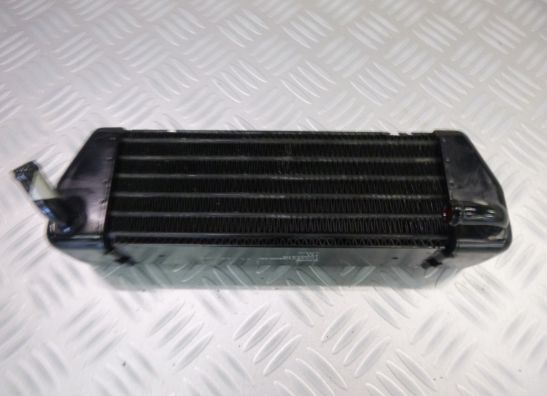 Olkuhler BMW K 1300 GT