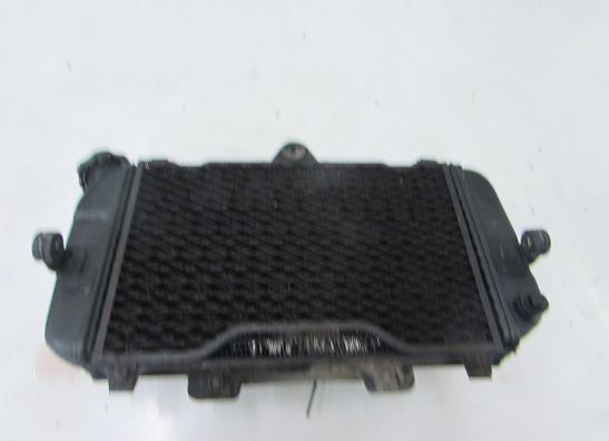 Radiateur Yamaha TDM