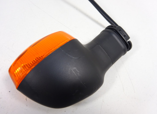 Winker right rear Yamaha FZ1