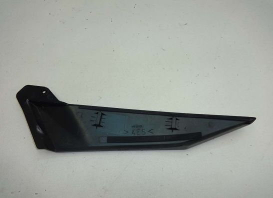 Fairingpart Yamaha YZF R1