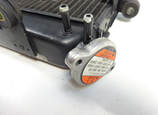 Radiateur Yamaha TDM