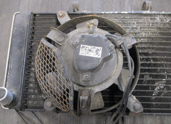 Radiator Suzuki GSF 400 Bandit