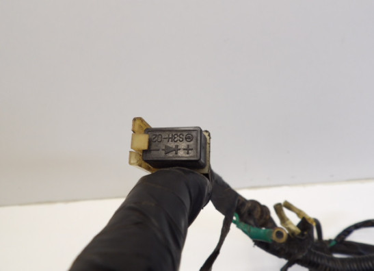 Wire Harness Honda VF 700  750 C Magna