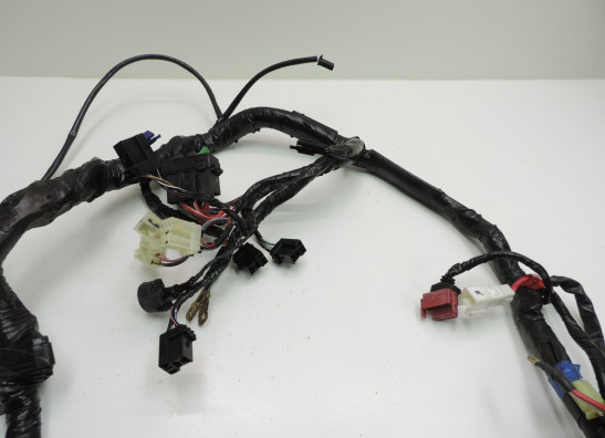 Kabelbaum Honda ST 1300 Pan European