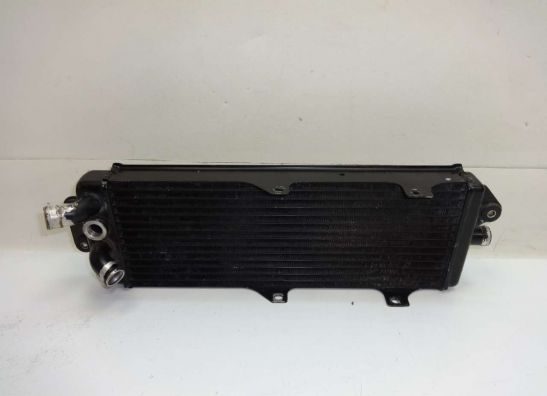 Kuhler Suzuki VX 800