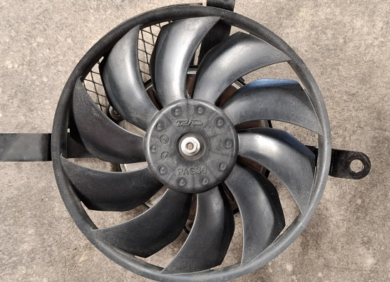 Fan Suzuki GSX R 600