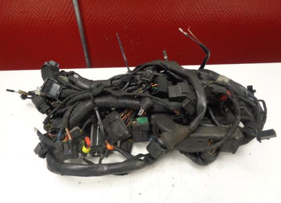 Kabelboom Aprilia ETV 1200 Caponord 2014-2017