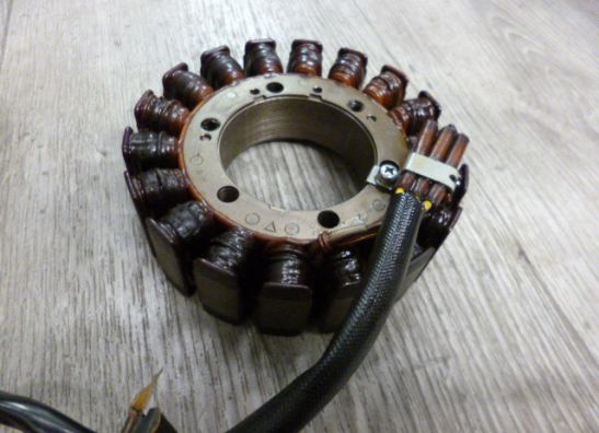 Generator BMW F 800 GS