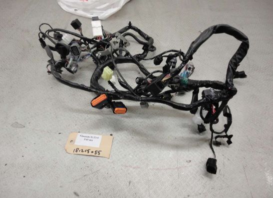 Kabelboom Kawasaki ER 6