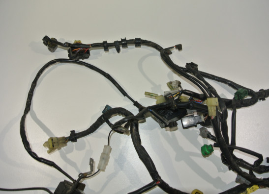 Kabelbaum Yamaha FZ6