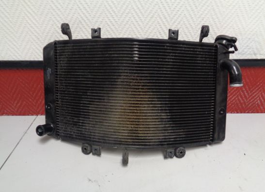 Radiator Suzuki GSX R 1300 Hayabusa