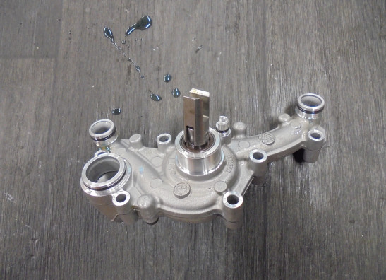 Wasserpumpe BMW R 1250 R