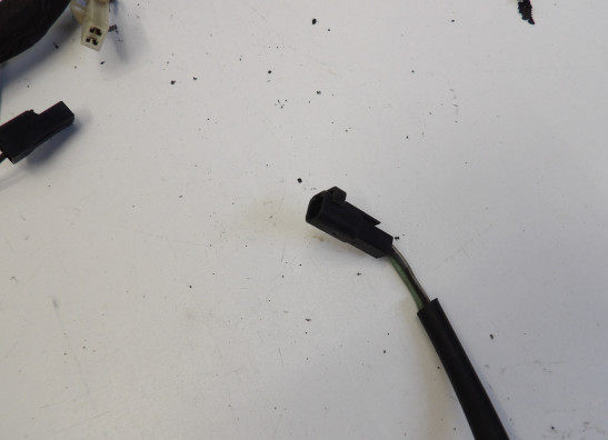 Kabelboom Suzuki RF 900