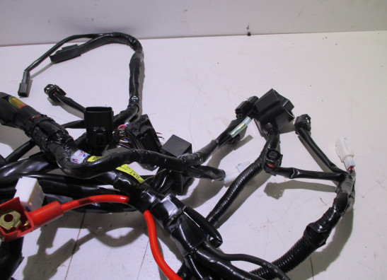 Kabelboom Yamaha MT 07