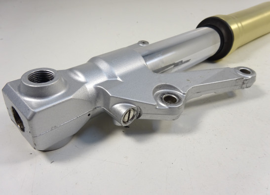Standrohr Gabelholm links komplett Yamaha YZF R1