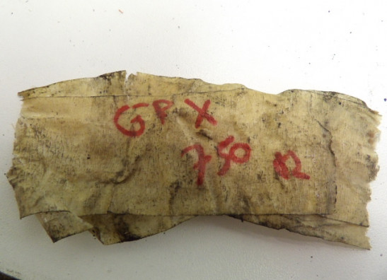 Bremspedal Kawasaki GPX 750