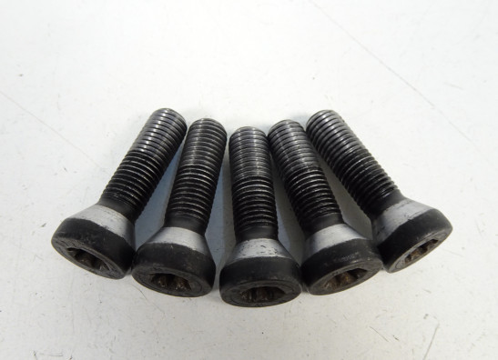 Achtervelg BMW K 1300 GT