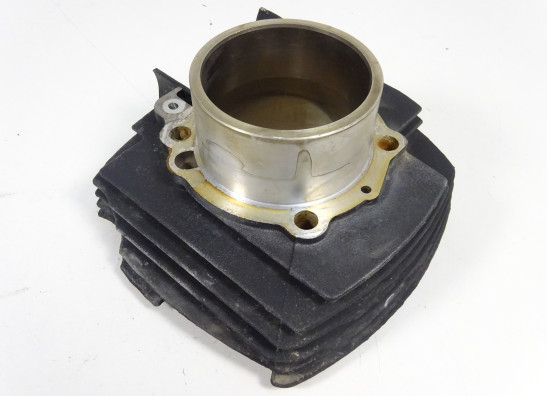 Cilinderblok Ducati monster 600