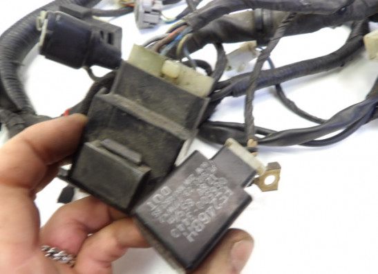 Kabelboom Yamaha TRX 850