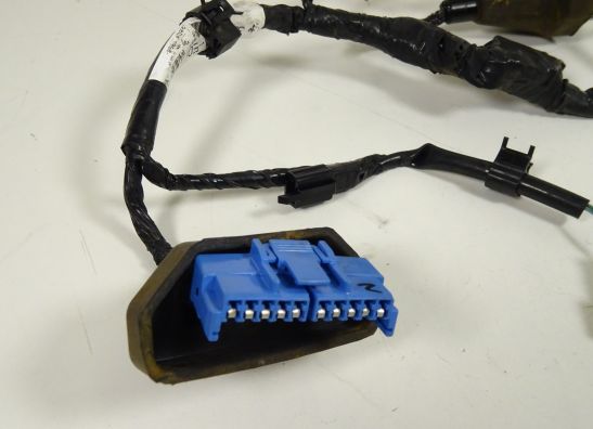 Wire harness front Honda CBR 1100 XX