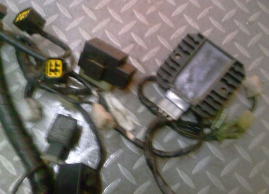 Wire Harness Kawasaki ZZR 1100