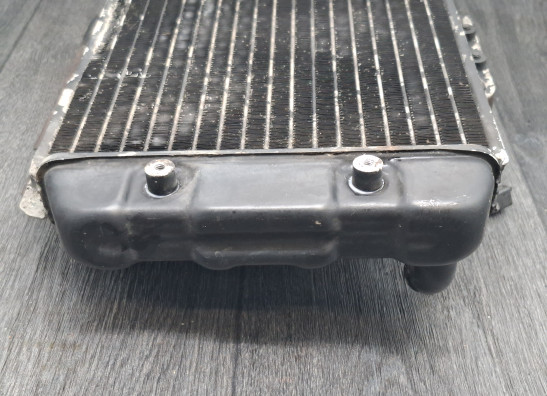 Radiator Suzuki Madura 1200