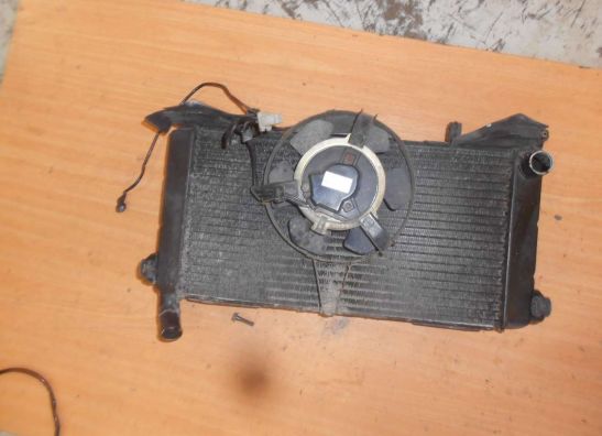 Kuhler Honda CBR 600 F