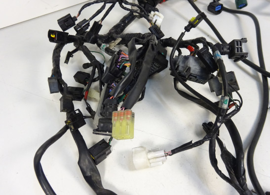 Kabelboom Triumph Street Triple 675