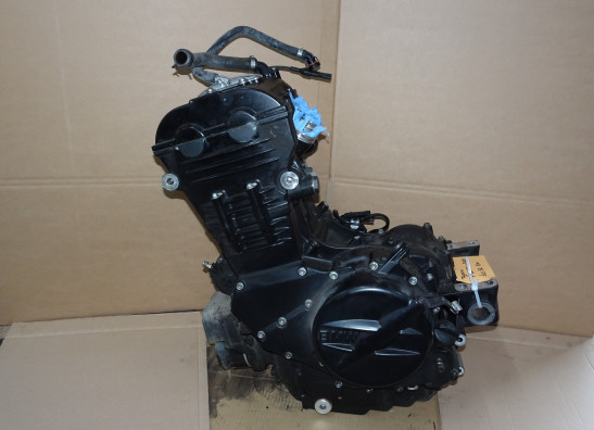 Motorblok BMW F 800 R