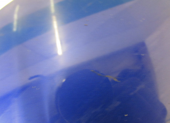 Untere verkleidung links Yamaha YZF R1