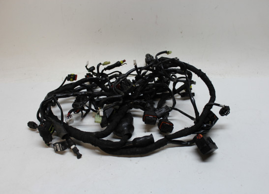 Wire Harness Ducati Multistrada 1200
