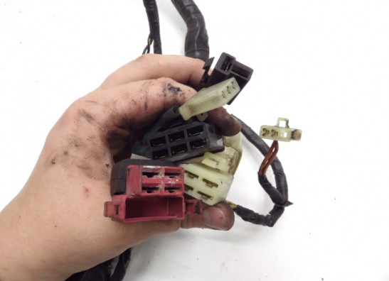 Wire Harness Kawasaki ER 5