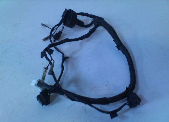 Wire harness front Yamaha FAZER 600